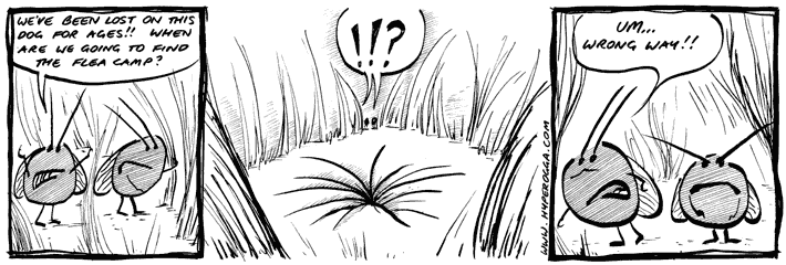 The Bug Insects comic strip 01