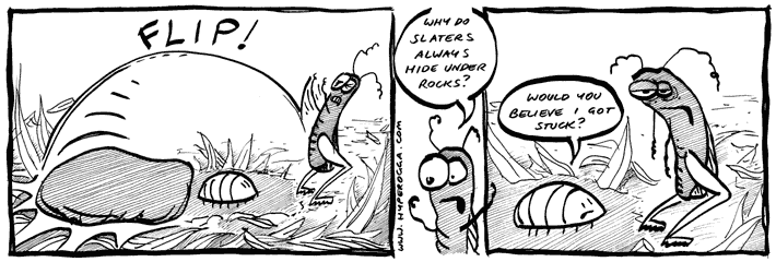 The Bug Insects comic strip 03