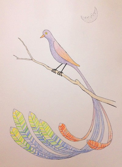 Bird with colored feathers