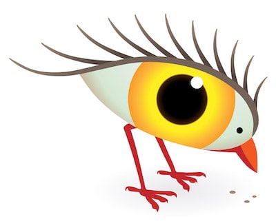 Eyebird