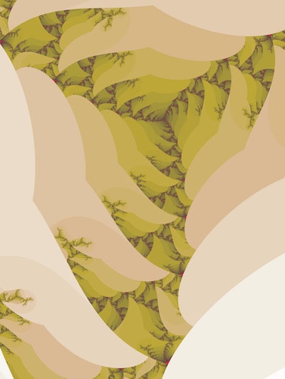 Wing rot fractal