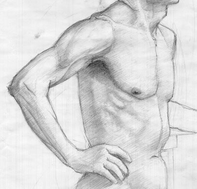 Male torso drawing in graphite pencil