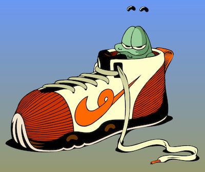 Ogga shoe color