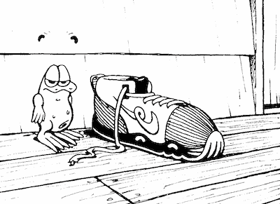 Ogga's shoe on the back verandah
