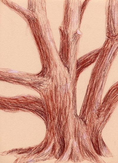 Red tree