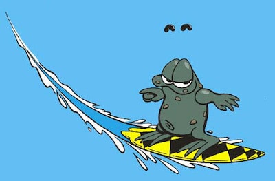 Surf Ogga color