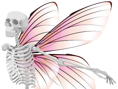 Winged skeleton