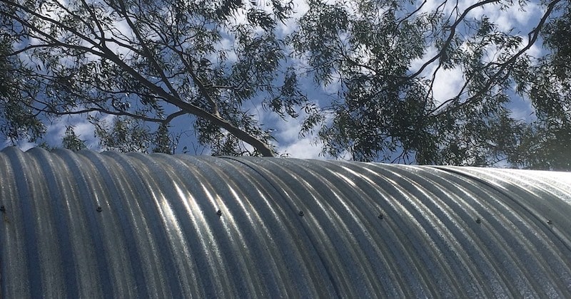 A rolled iron roof under gum trees