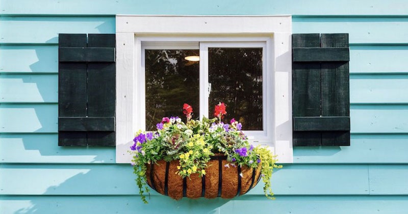 Flowers growing in a tiny house window flowerbox