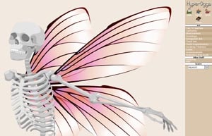 Website version 6: Winged Skeleton
